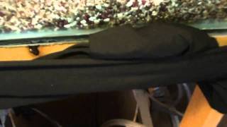 Cleaning Powerpig and Milkys tank pt.1