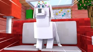 Minecraft Puppy Diaries - LITTLE KELLY IS A PUPPY!