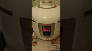 Странное поведение скороварки MOULINEX CE501132. Ошибка Е0