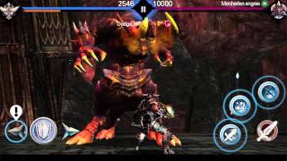 Codex The Warrior
