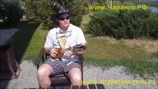 пробую играть на чаранго charango