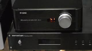Popu D5N