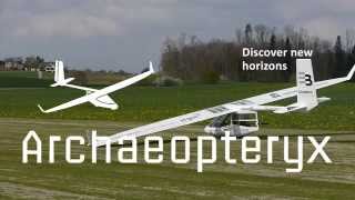 Archaeopteryx Electric "Electeryx"