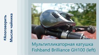 Fishband Brilliance GH100 - бриллиант или....??
