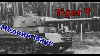 Tiger P - По тропе Мауса!