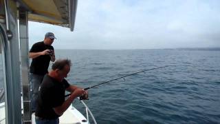 la pêche du Poulpe