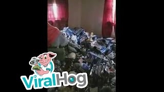 Tenant Destroyed Apartment || ViralHog