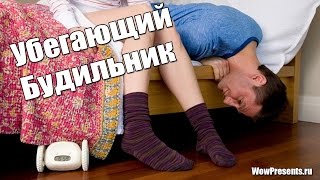 Убегающий будильник Alarm Clocky Run купить.
