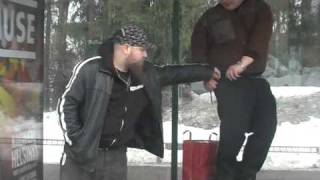 Älyvapaat - Raikku taiteilee