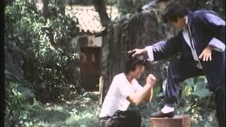 Shaolin Demir Yumruklar Turkce Dublaj Tek Parça