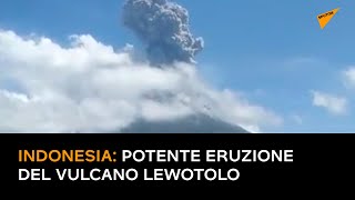 Indonesia: potente erruzione del vulcano Lewotolo