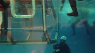Bosiet helicopter training