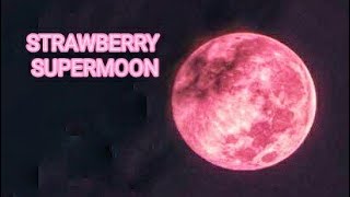 STRAWBERRY SUPERMOON PALING JELAS | PLANET ZOOM