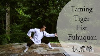 Taming Tiger Fist Fuhuquan