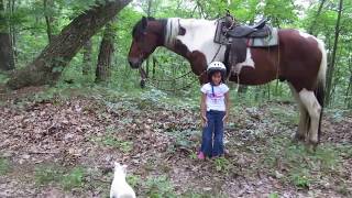 Little girls, Big Horses
