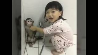 PERSAHABATAN SEORANG ANAK KECIL DAN SEKOR MONYET