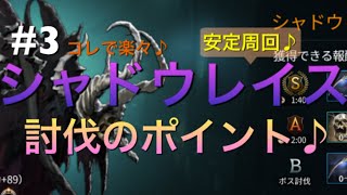 【ハンドレッドソウル】#3シャドウレイス討伐のコツとノヴァストーンの交換♪