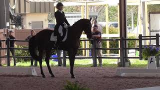 Marilyn LIttle & RF Scandalous CCI 5 Star Dressage 19 4