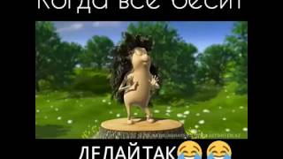 Когда всё бесит делаи так:) ЕЖИК танцует ржака