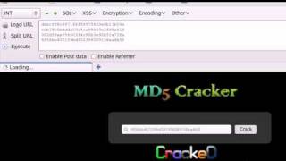 MD5 Online Bruter