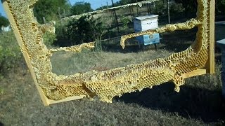 ЖАРА и рамки.