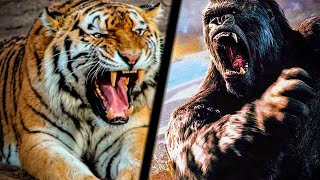 Смотри Вот это БИТВА Животных! КИНГ КОНГ vs ТИГРИЦА Zooba
