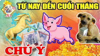 TIÊN TRI 3 TUỔI NÀY ĐẢM BẢO TRÚNG SỐ 100% TIỀN VỀ TRẢ SẠCH NỢ NẦN, ĐỔI ĐỜI GIÀU TO NẾU LÀM ĐIỀU NÀY