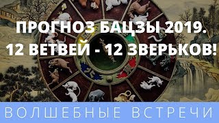 Натали Грей. Прогноз Бацзы 2019. 12 ветвей - 12 зверьков!