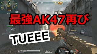 【AVA】いろぶき！卍過ぎる性能を持ってる卍武器卍【AK47 Arcane Charm】