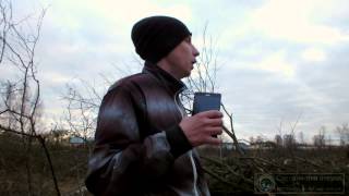 1. Дзержинск (вырубка леса)
