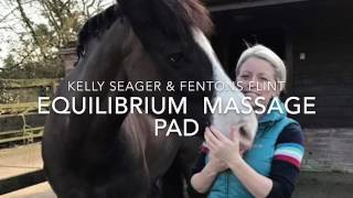 Equilibrium Massage Pad