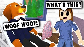GETTING A SUMMER JOB AS A VET! (Roblox Roleplay)