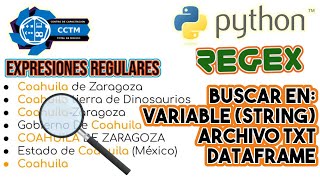 ¿Cómo buscar una palabra dentro de varias palabras? | Archivo txt | Dataframe | Python │¡Muy Básico!