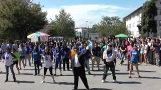 Emory LiNK Gangnam Style Flash Mob