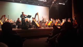 Concerto for Violin & Harp