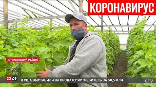 Коронавирус в Беларуси. Главное сегодня (28.05). Эффективно ли ношение масок и когда всё закончится?