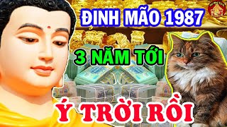 Tiết Lộ Chấn Động Tử Vi Tuổi Đinh Mão 1987 Ăn LỘC TRỜI Giàu Như Vũ Bão
