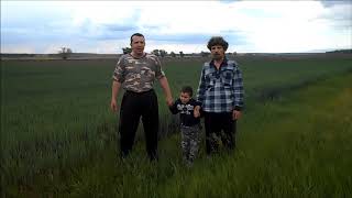 "ВЫЙДУ НОЧЬЮ В ПОЛЕ С КОНЁМ"...душевная песня в чистом поле...