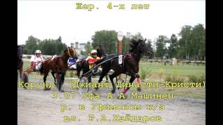 Резвейшие рысаки призовых пород 2012 года.