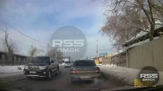 TLC 200 переехал собаку, Омск