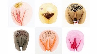 Vulva Gallery : 800 vulves pour montrer la diversité des corps