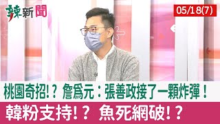 【辣新聞152 重點摘要】桃園奇招!? 詹為元：張善政接了一顆炸彈！ 韓粉支持!? 魚死網破!? 2022.05.18(7)