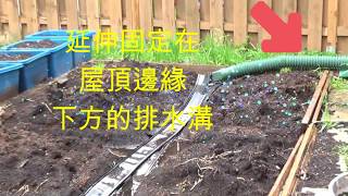 如何建造一個簡單和免費的自動花園灑水系統