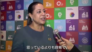 持続可能な開発のためのグローバル投資家（GISD）アライアンス