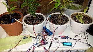 Автоматический полив на базе ARDUINO