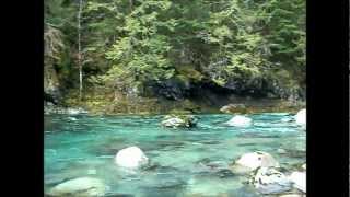 Oregon Gold Prospecting Little North fork Santiam River