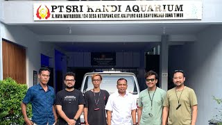 Company profile PT. Srikandi Aquarium