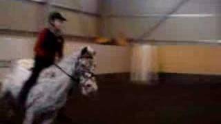 Pepillä esteitä ilman satulaa