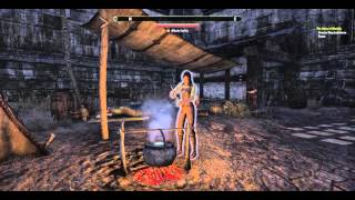 ESO nod to Stjepan Sejic's Sunstone characters?