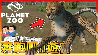 奔跑吧 遊客?‍♂獵豹鬼抓人開始!!【動物園之星 Planet Zoo】不要吃太多啊? #13